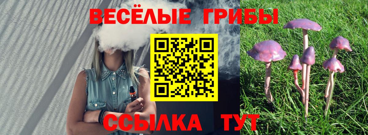 Галлюциногенные грибы мицелий Анжеро-Судженск