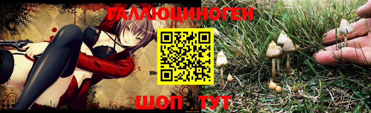 Псилоцибиновые грибы MAGIC MUSHROOMS  Вход с VPN  где купить наркоту  Анжеро-Судженск 